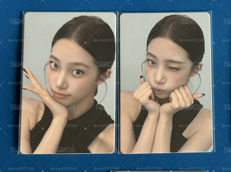 SC 葉一套
