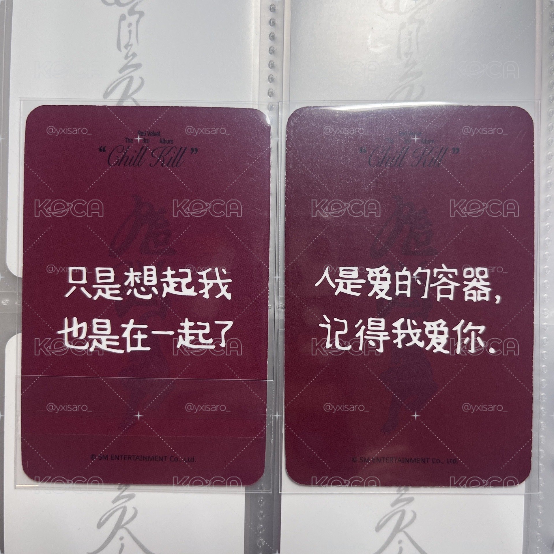 Wendy｜星河中文卡背特典