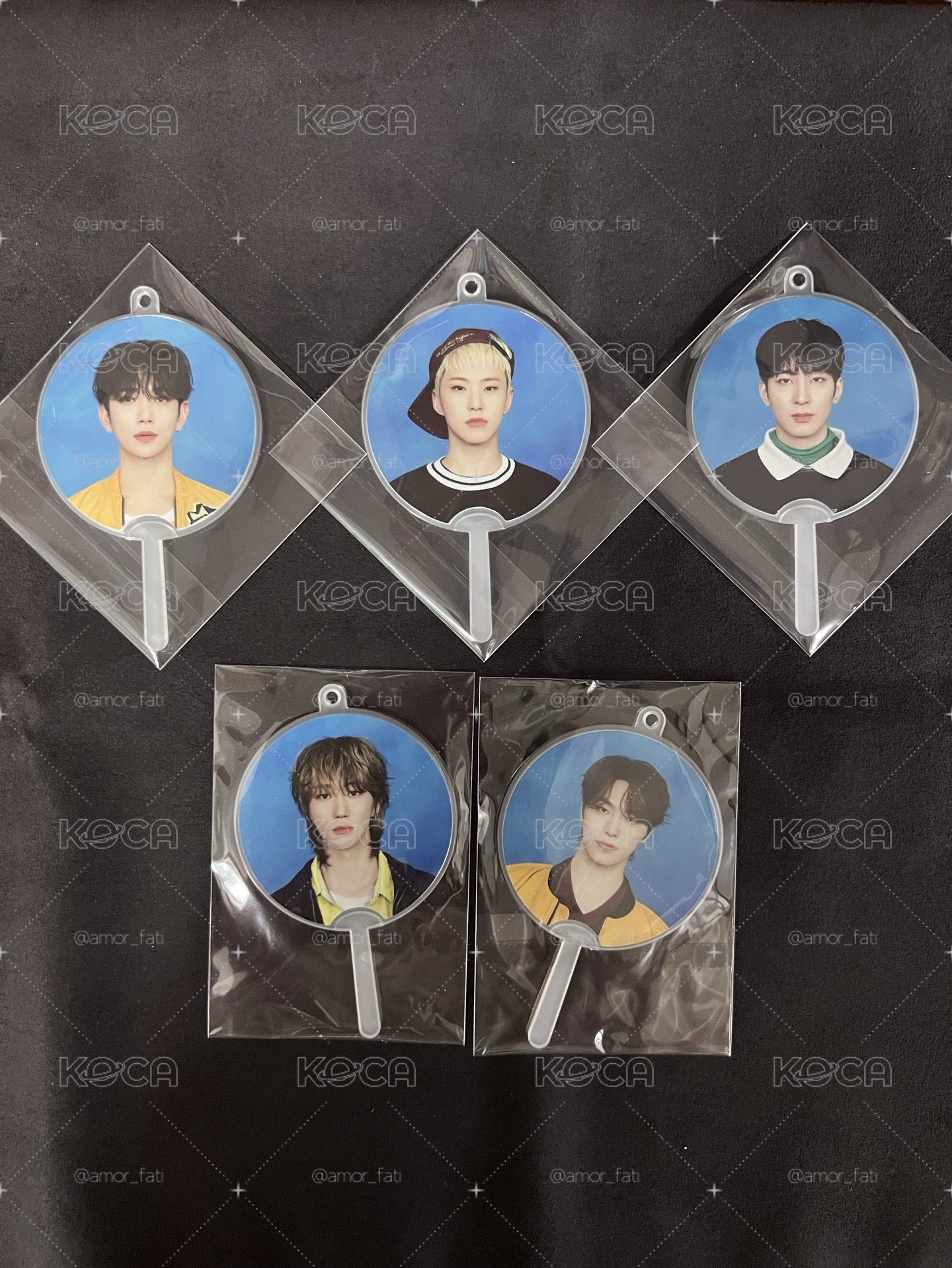 SVT💎 25克拉島小扇 