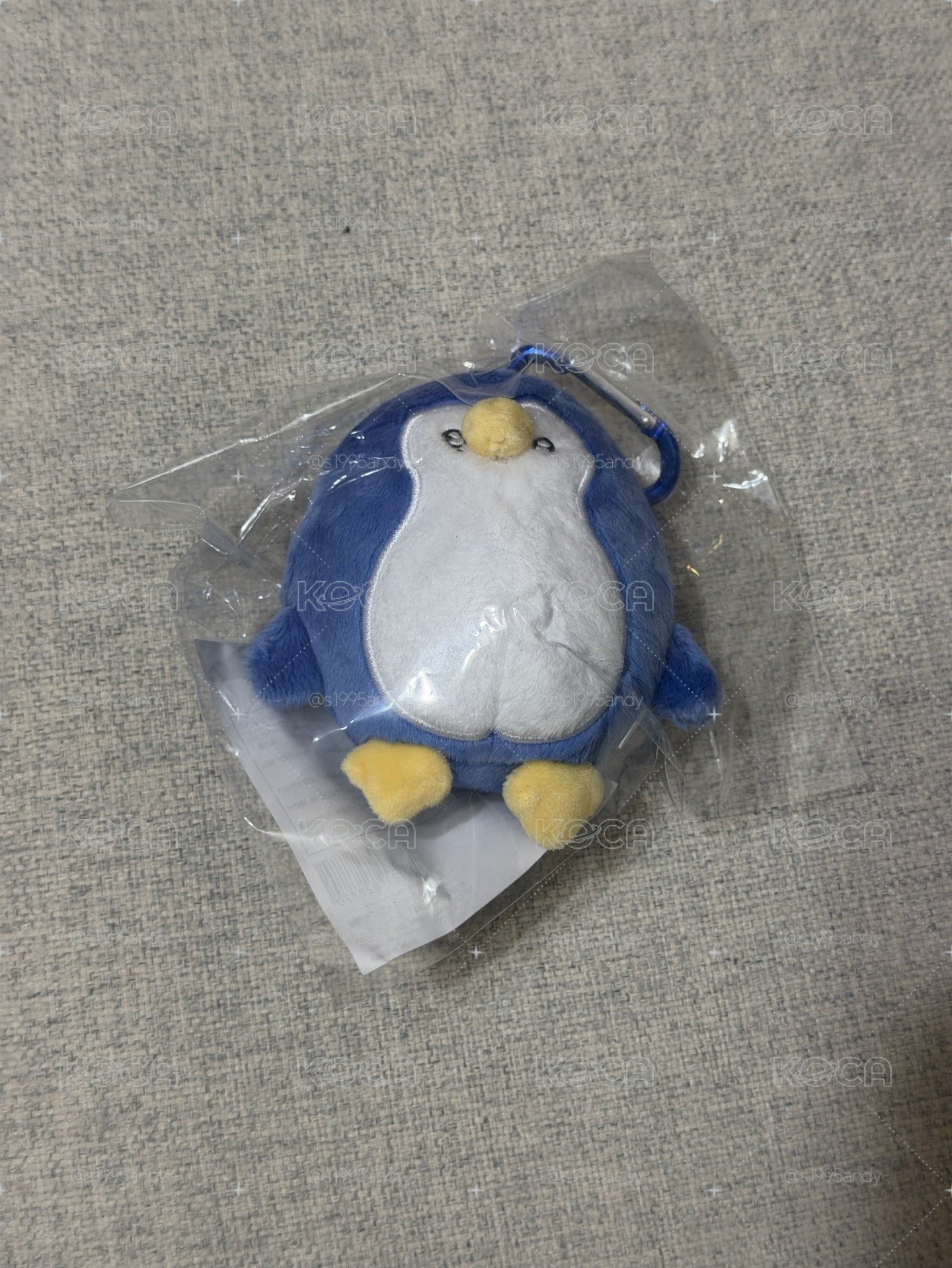 日巡企鵝 圭賢
