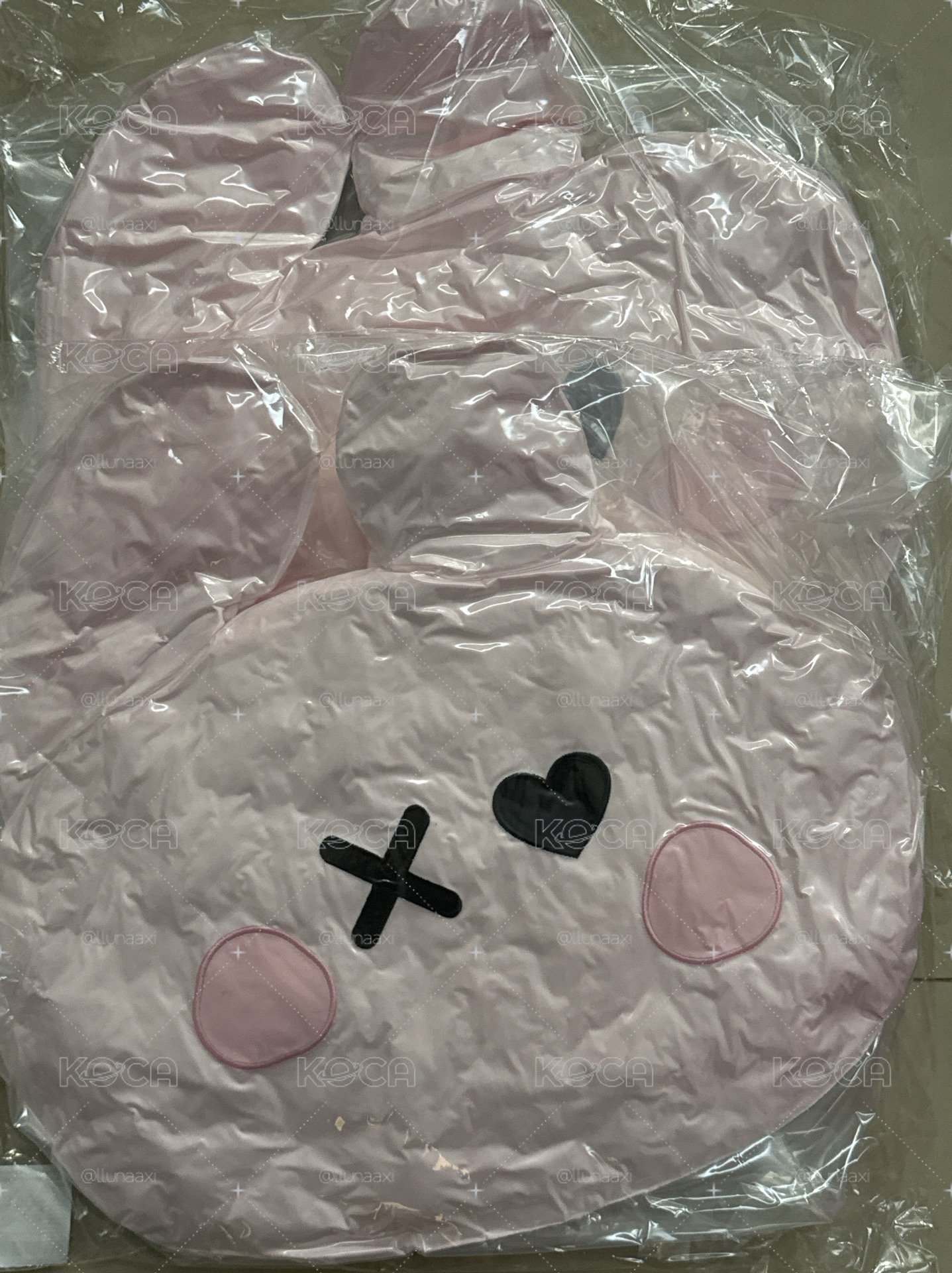 現貨｜asa抱枕+2張展位D