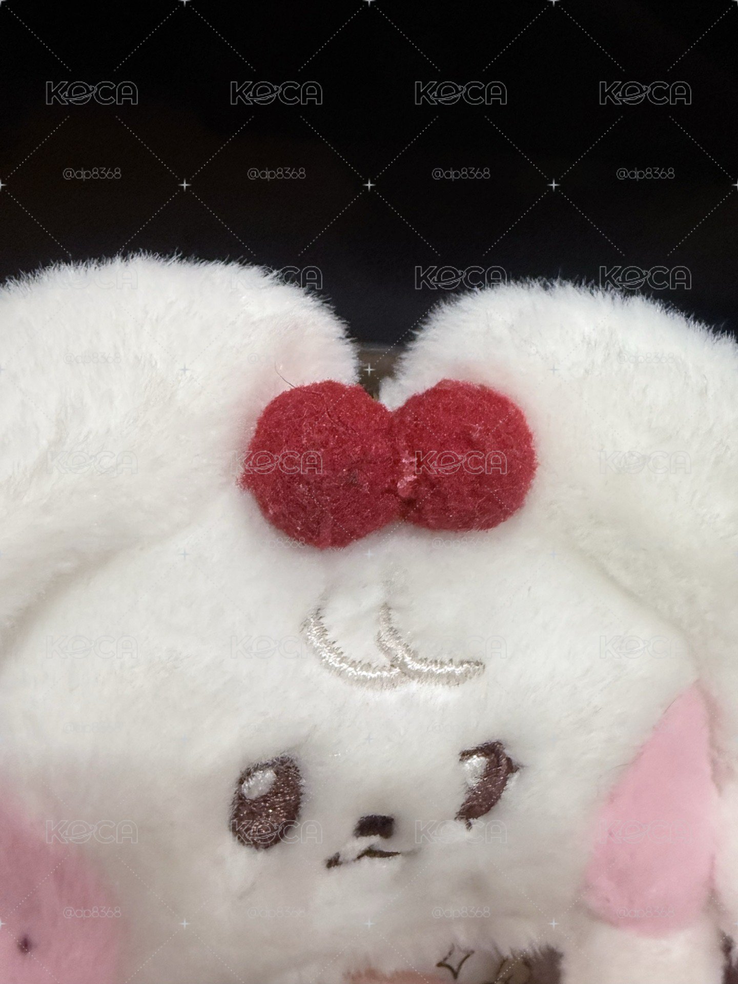 IVE LINE FRIENDS 小員 Cherini 卡套 八成新