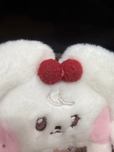IVE LINE FRIENDS 小員 Cherini 卡套 八成新