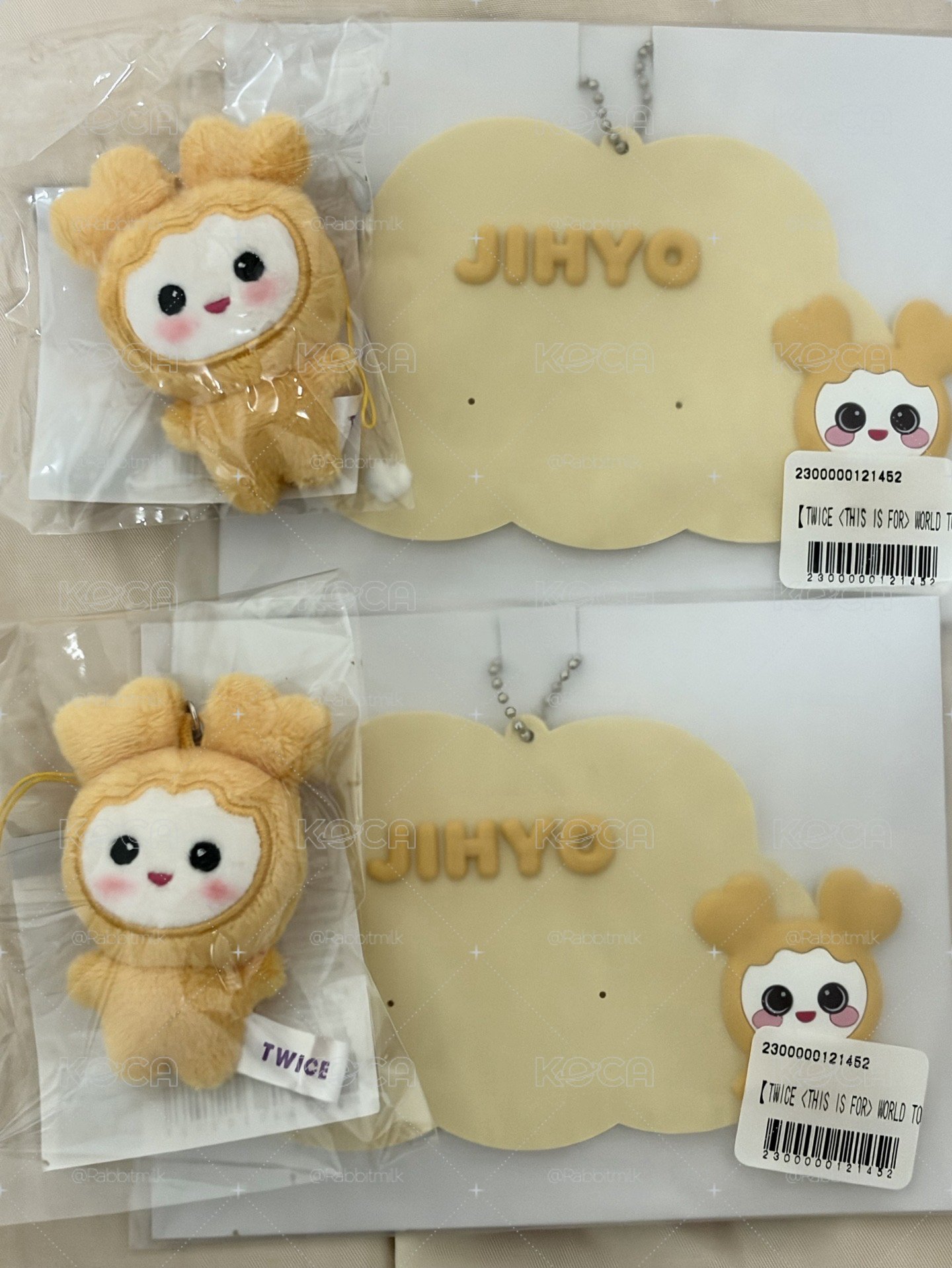 TWICE 志效  十週年 吊娃 迷你娃/豆豆眼 一番賞名牌吊飾