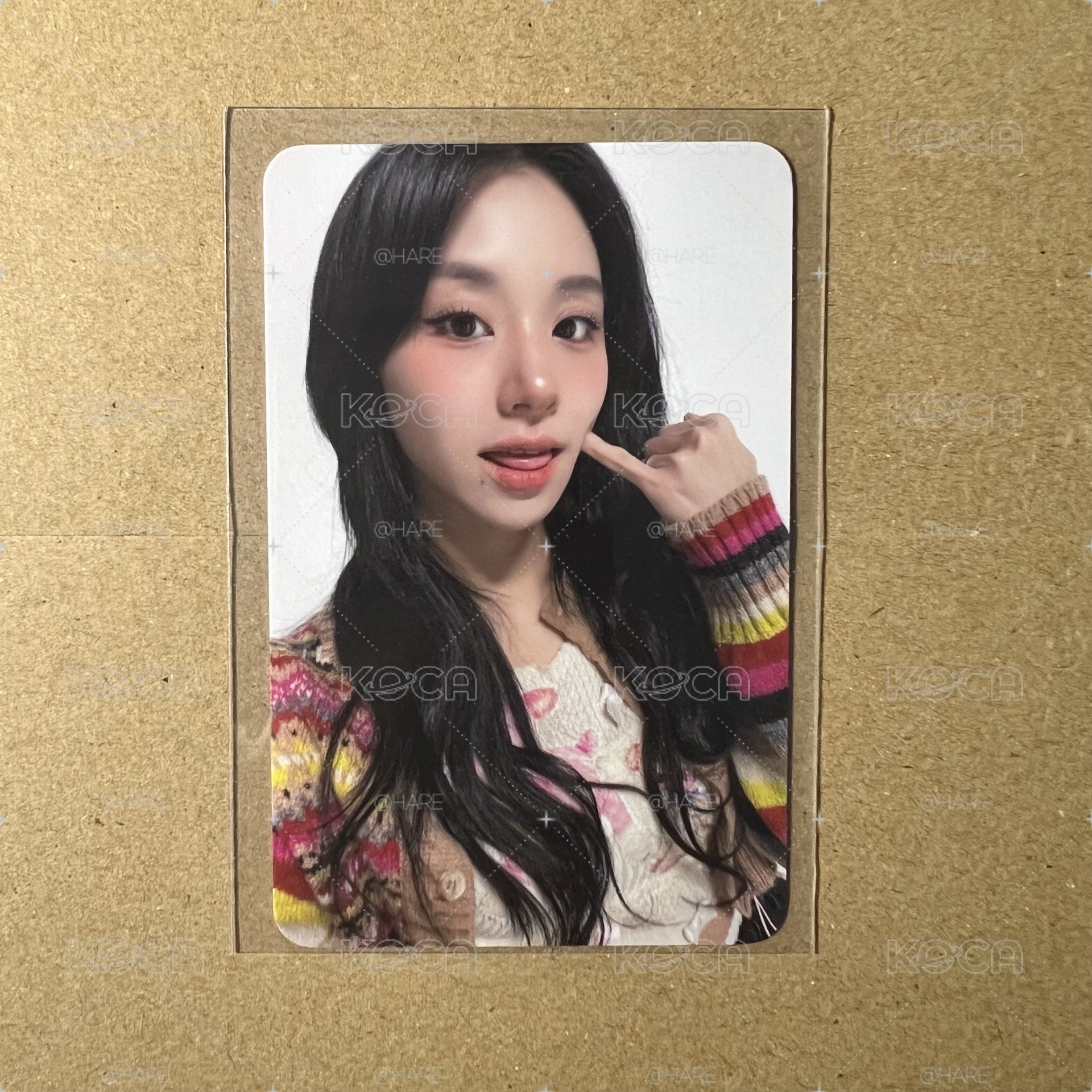 彩瑛 迷13特典