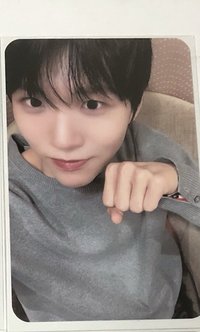 小樹