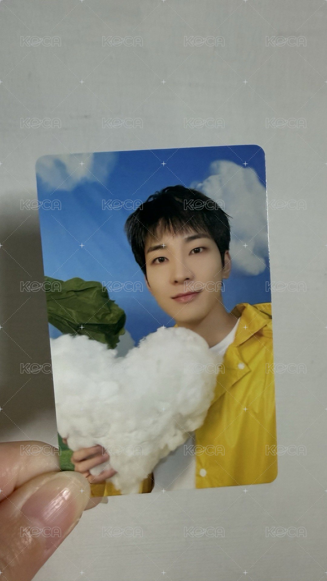 MINI11 專輯卡 CARAT ver.