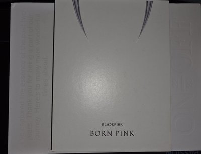 💜BORN PINK 專輯 灰版 空專