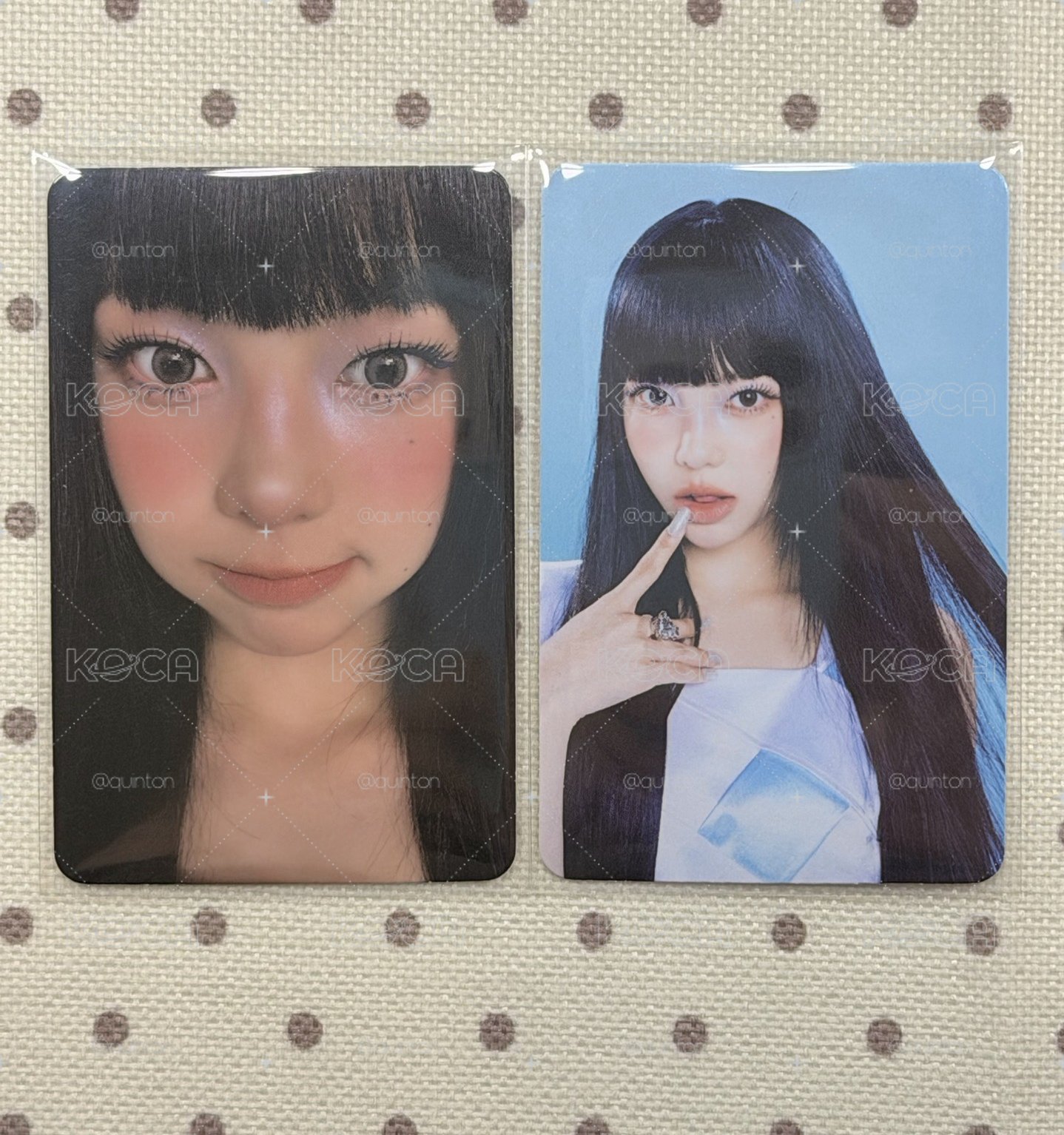 Focus 隨機卡 ian