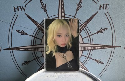 💜正規一 sr 特典卡 星河預售D冬