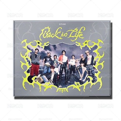 &TEAM BACK TO LIFE 未拆專