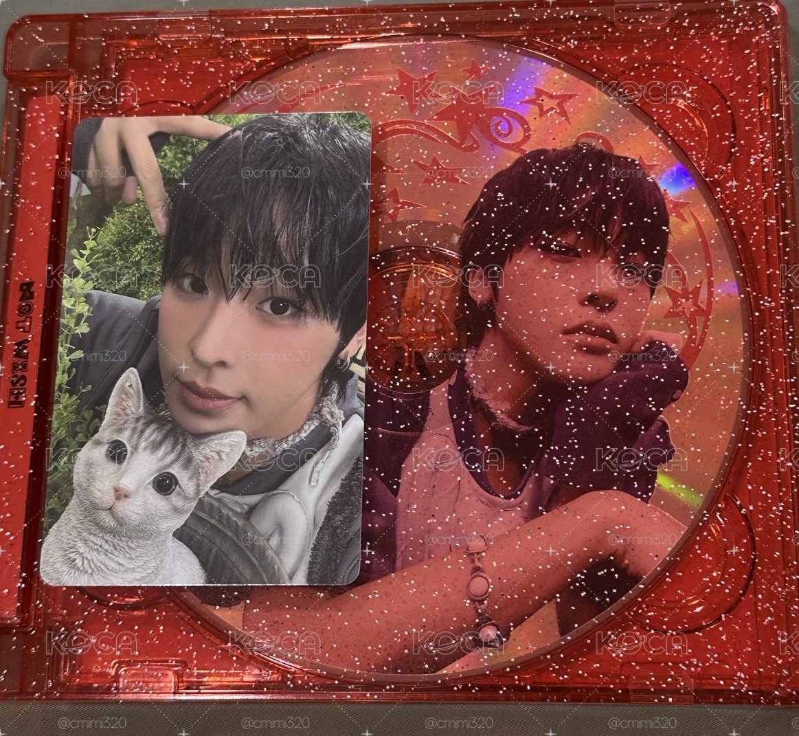 Riku 卡+專輯