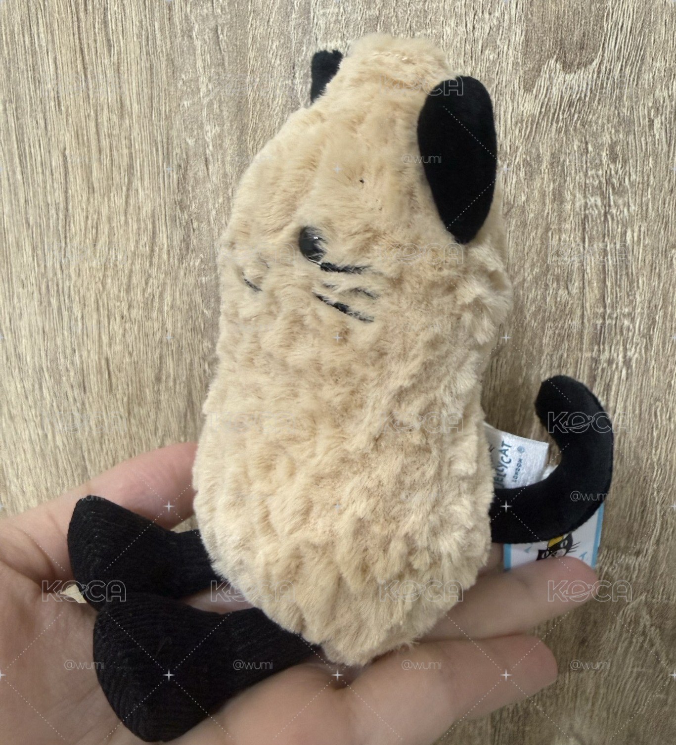 Jellycat 花生貓咪