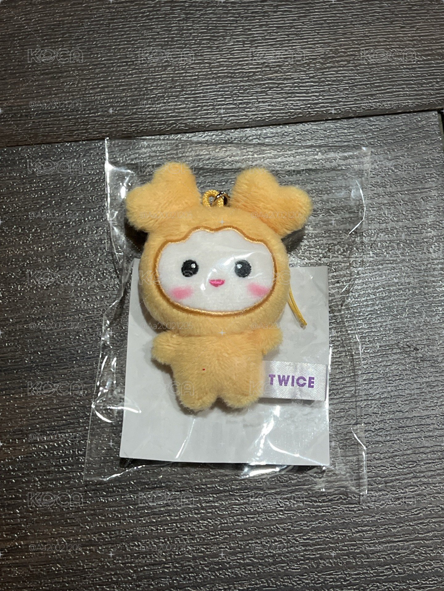 TWICE 志效 豆豆眼娃