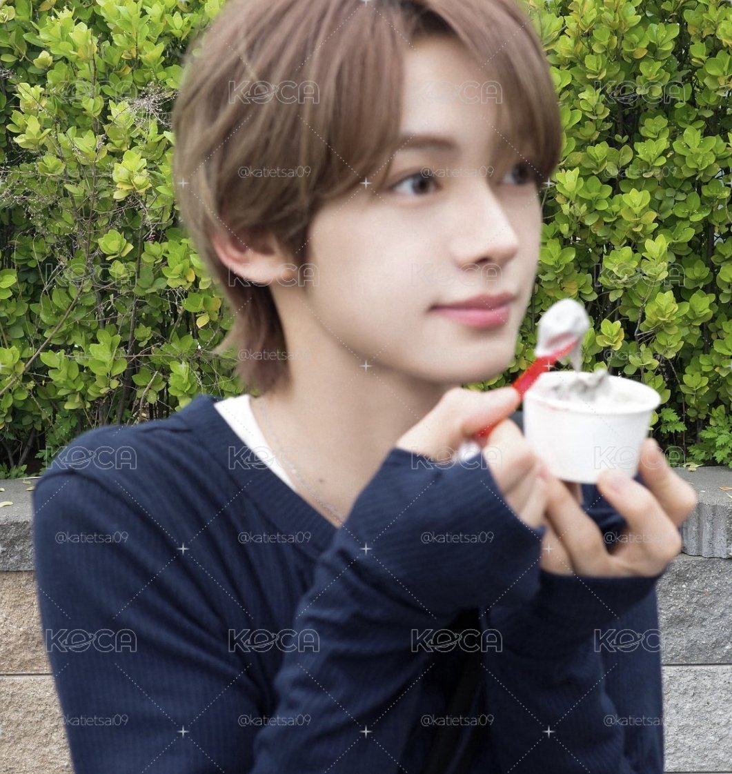 TWS 韓振小卡🐰
