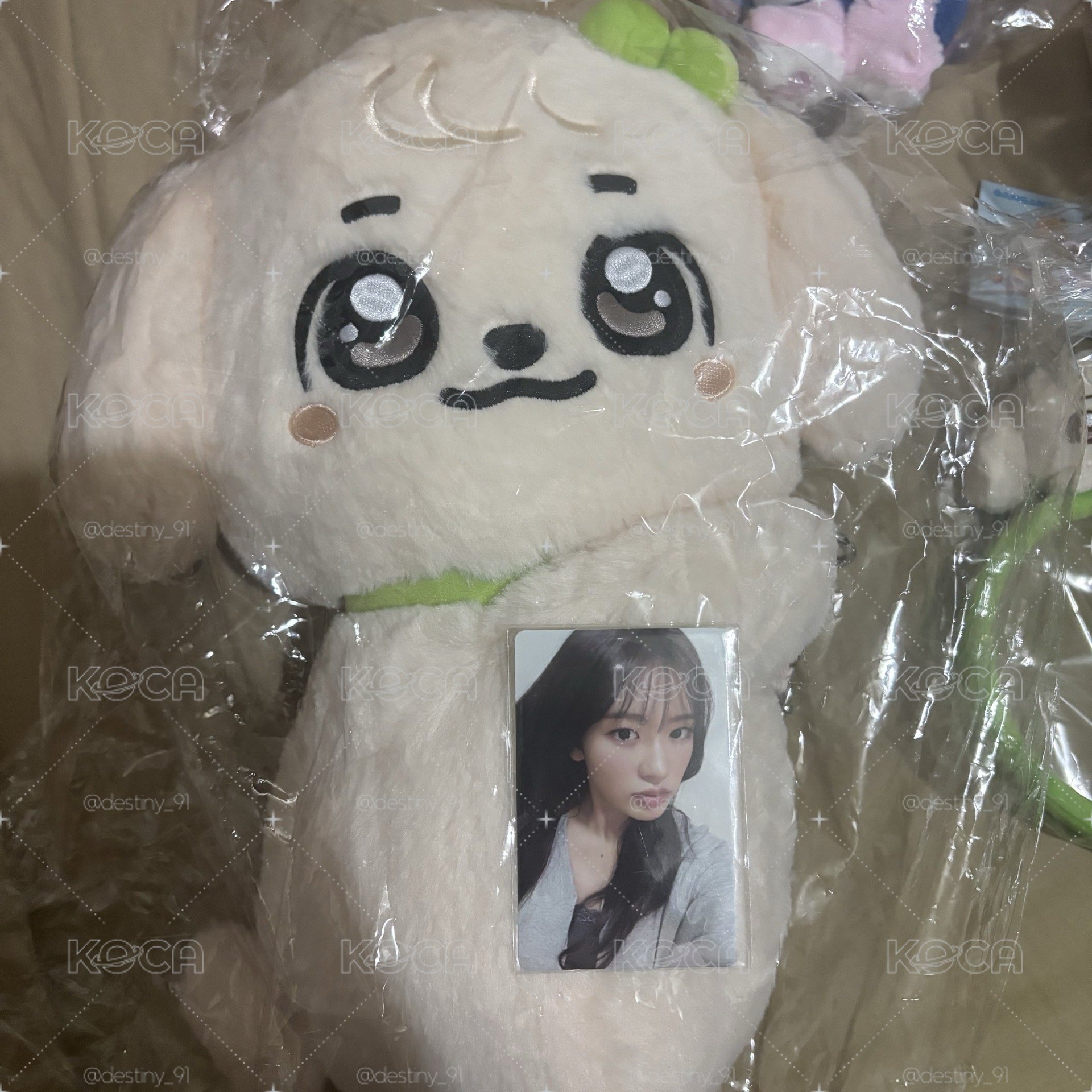 安背包娃🧸+成員卡