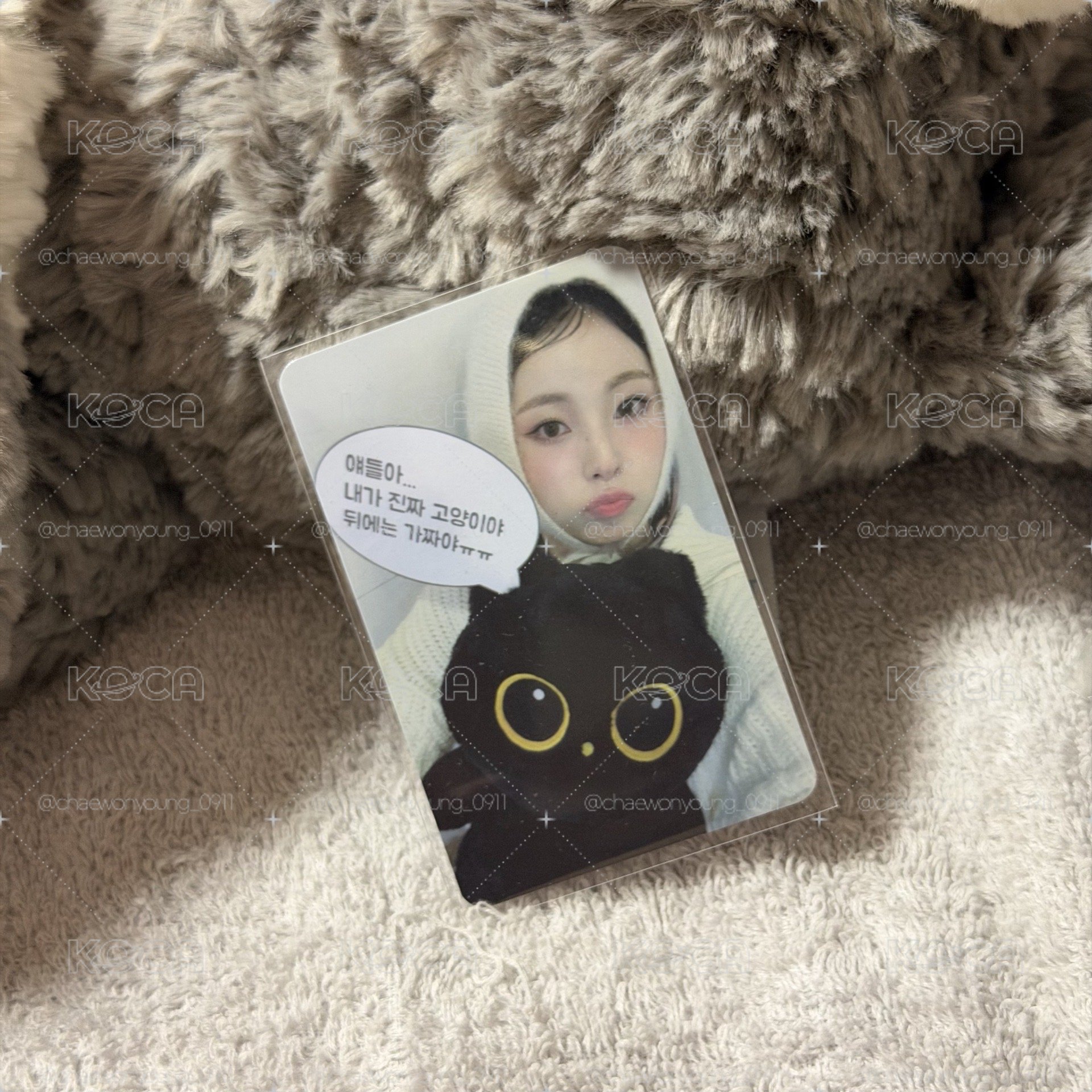 nmixx 小天使圭