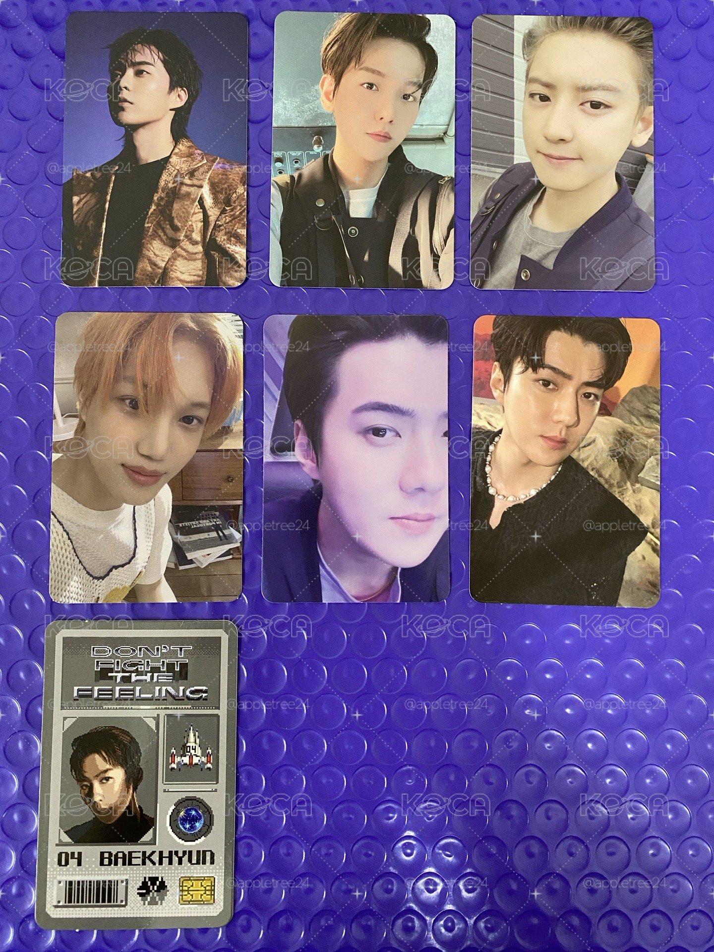 EXO DON’T FIGHT THE FEELING 專輯小卡
