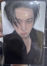 琦琦 D