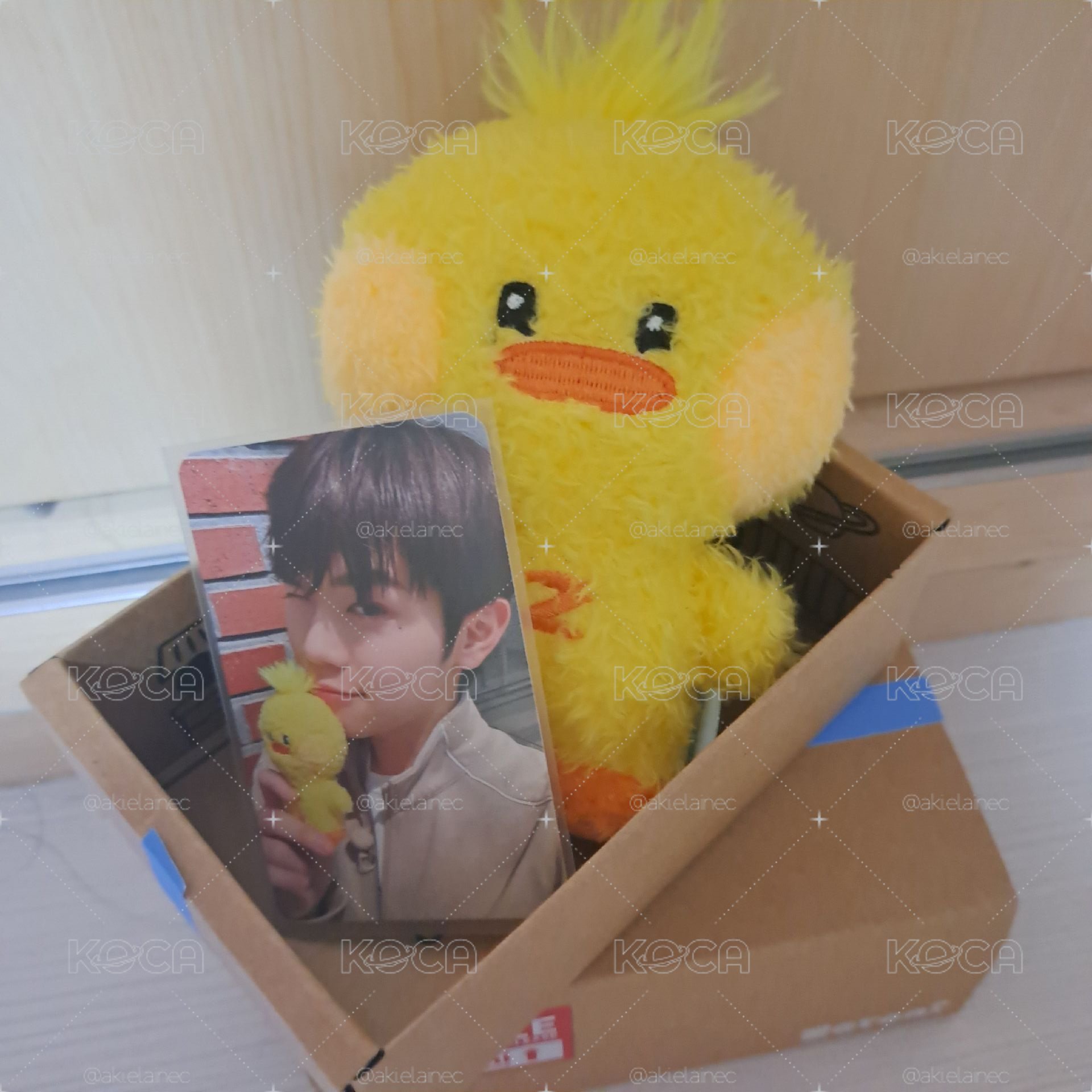 泰尼尼盒娃