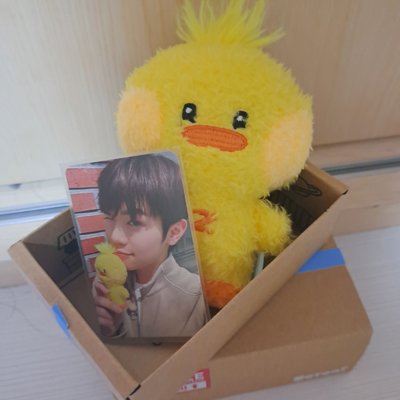 泰尼尼盒娃
