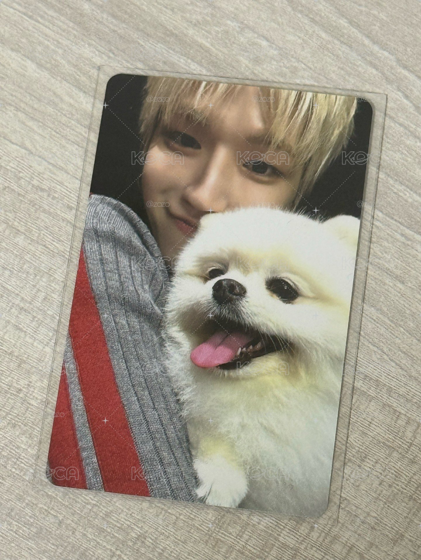常赫🐶特典卡
