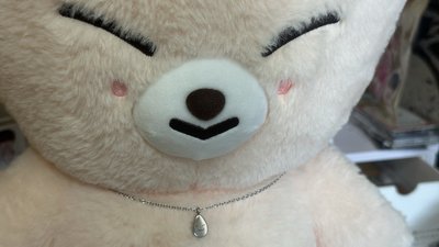 泰迪寅含綁