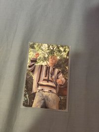 迷十一 wvs特典卡