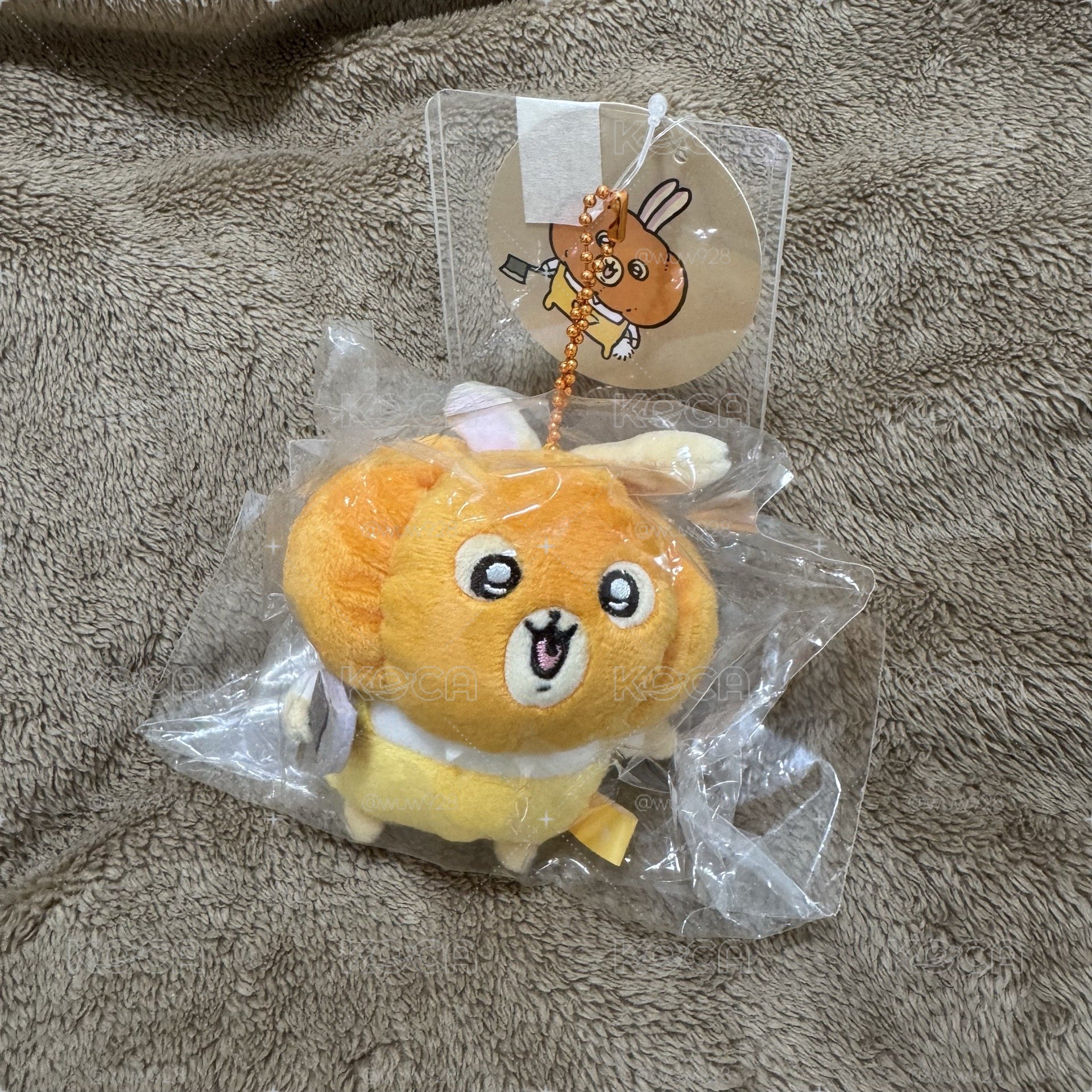 萬聖節🎃南瓜兔兔