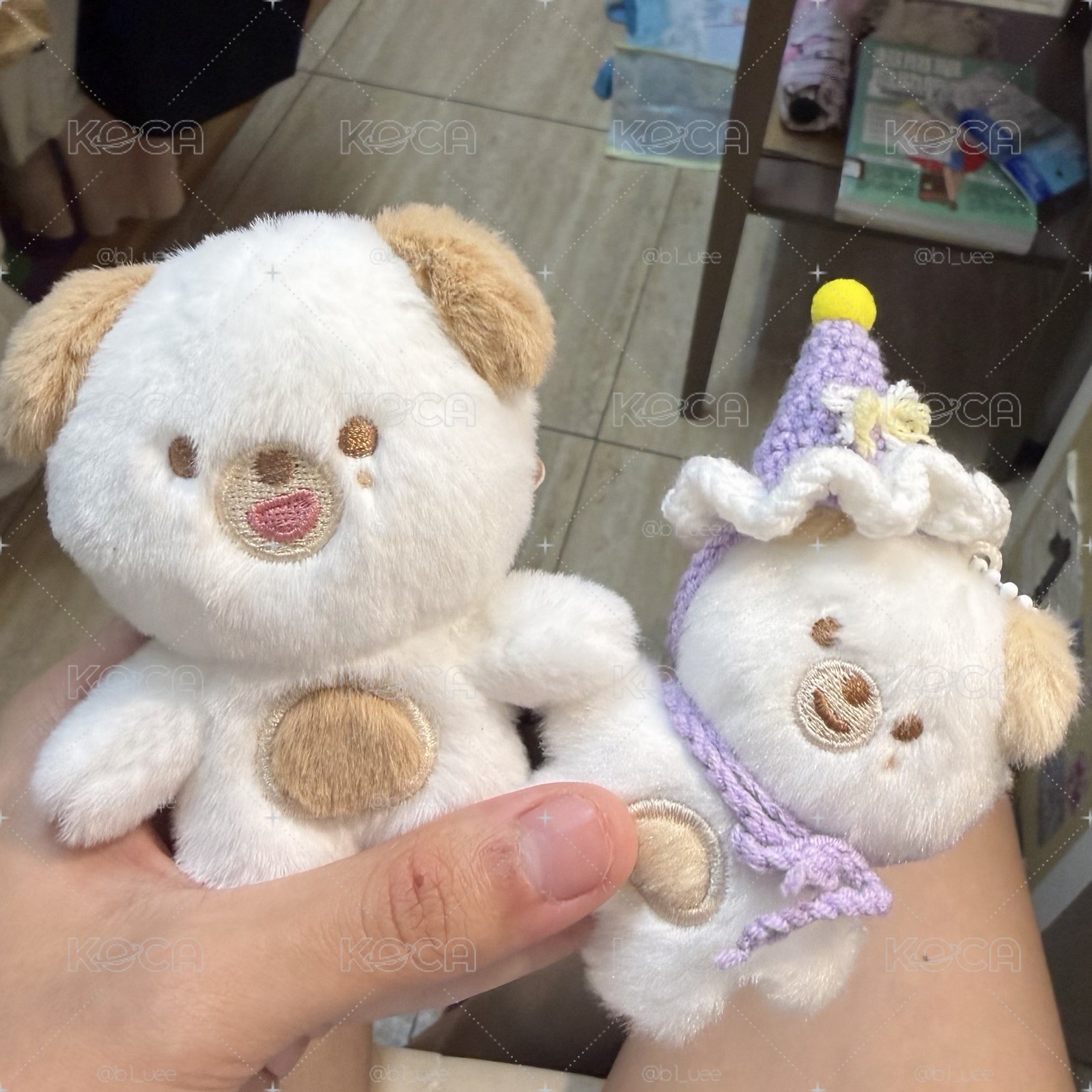 度云娃