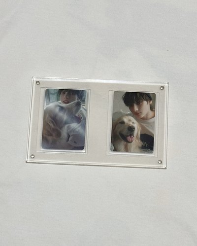 寧 迷七 狗狗卡