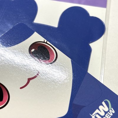 TWICE 子瑜 十週年卡套組