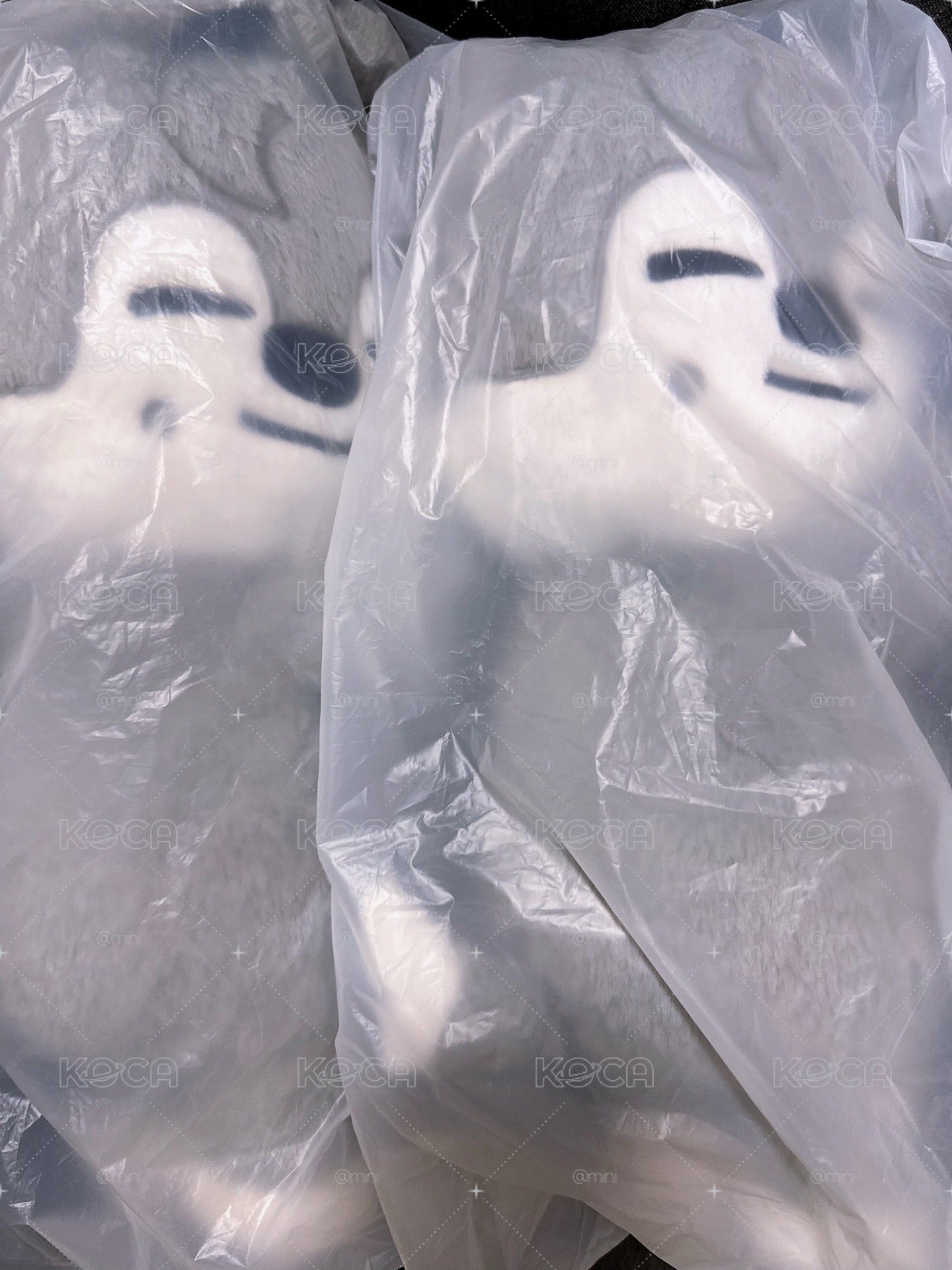 直出全新 燦狼側背娃