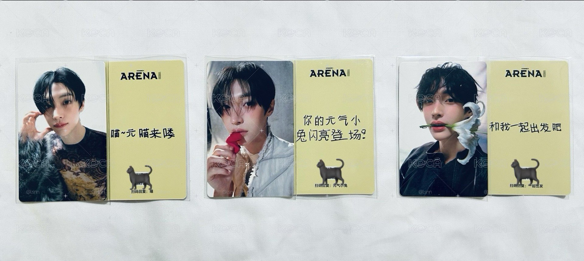 arena雜誌卡 彬