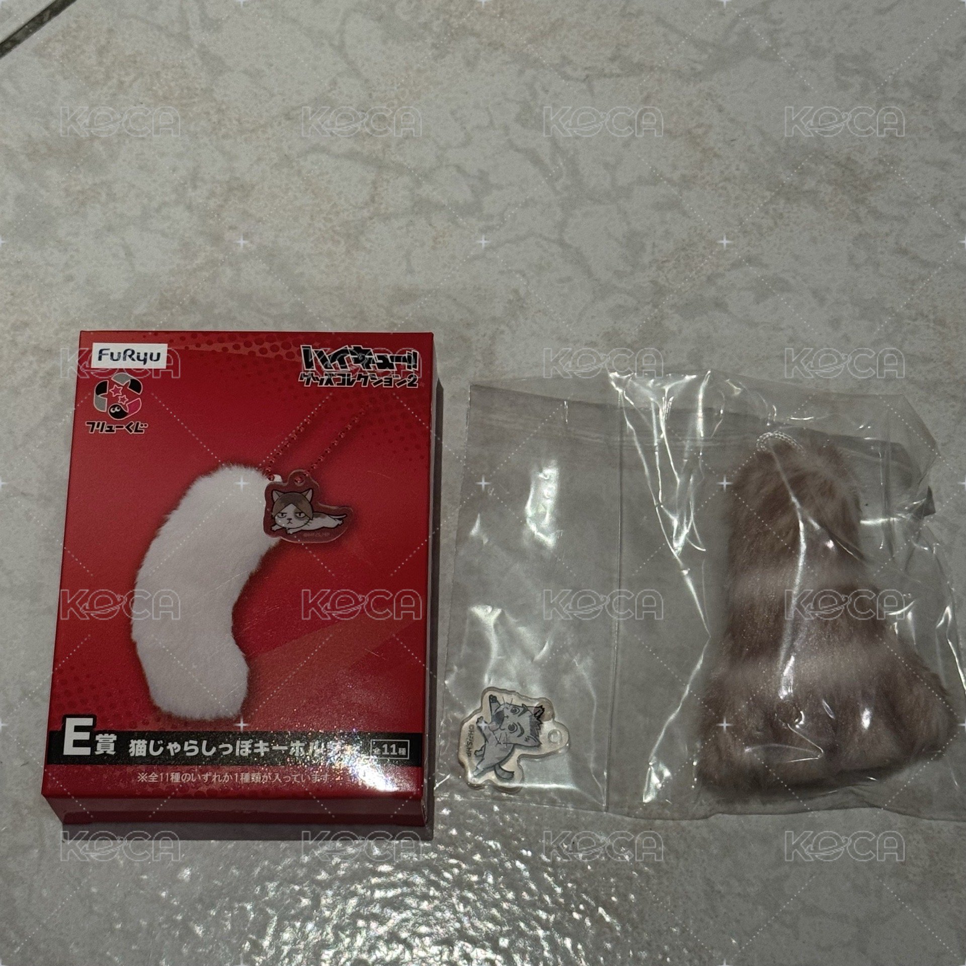 E賞 犬岡尾巴