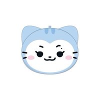 二巡 JYP JAPAN 日版 TWINZY 扇套 RyuJJI