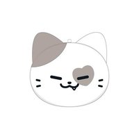 二巡 JYP JAPAN 日版 TWINZY 扇套 KKengEE