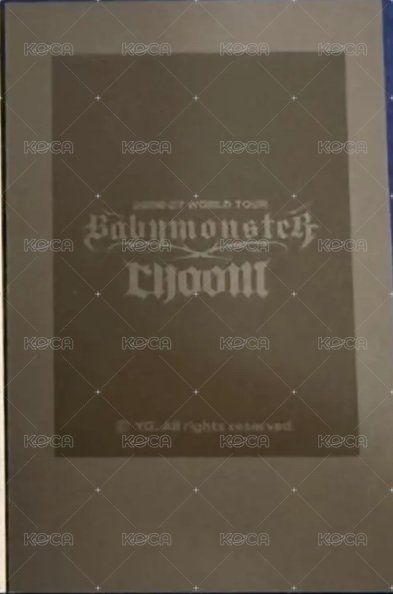 2026-27世巡 yg 拍立得套組 周邊卡  背面