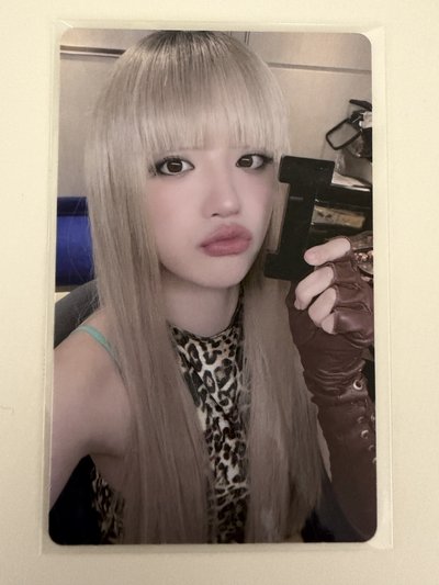 迷8 wvs特典琦