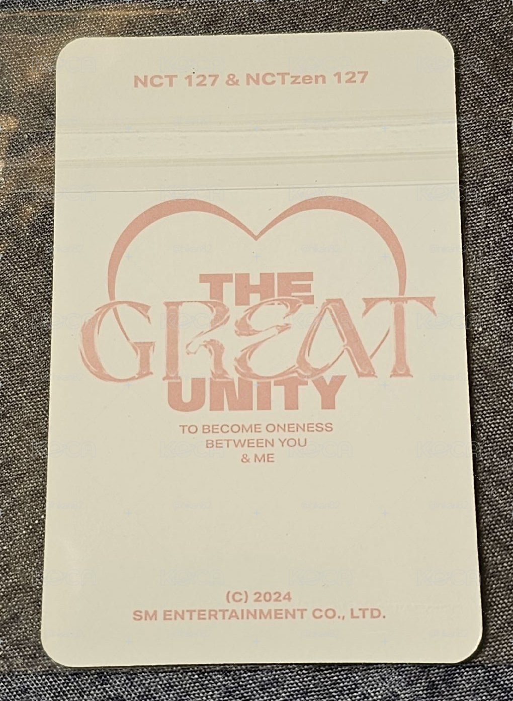 NCT127 The Great Unity DOYOUNG 