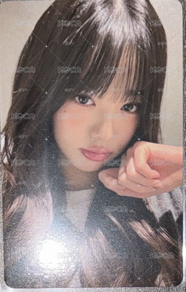 11/23東京拳頭員