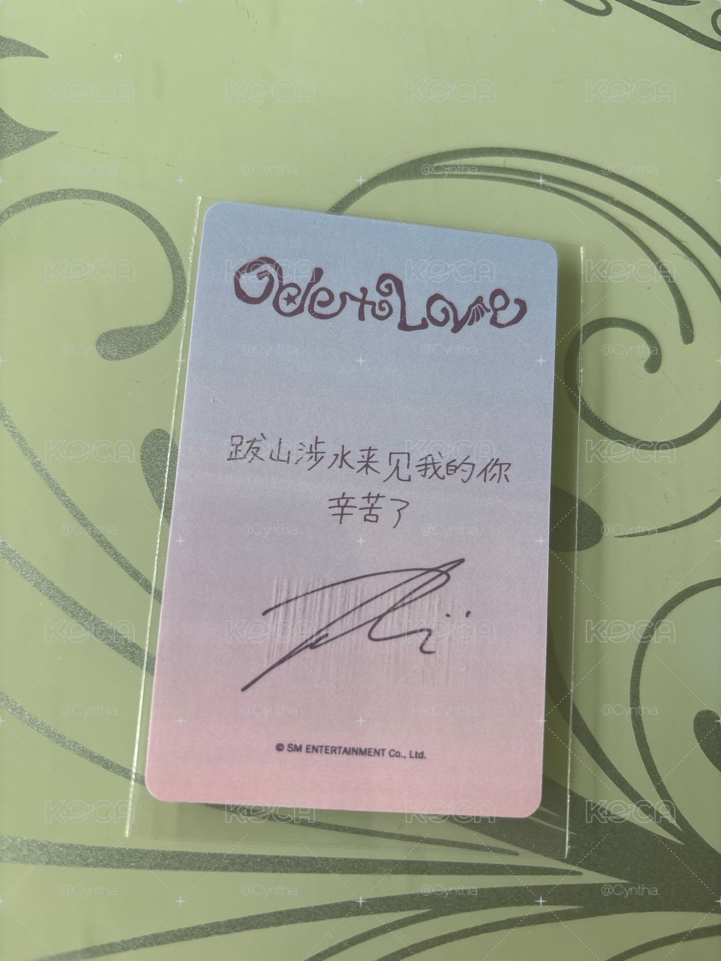 中文卡背陸