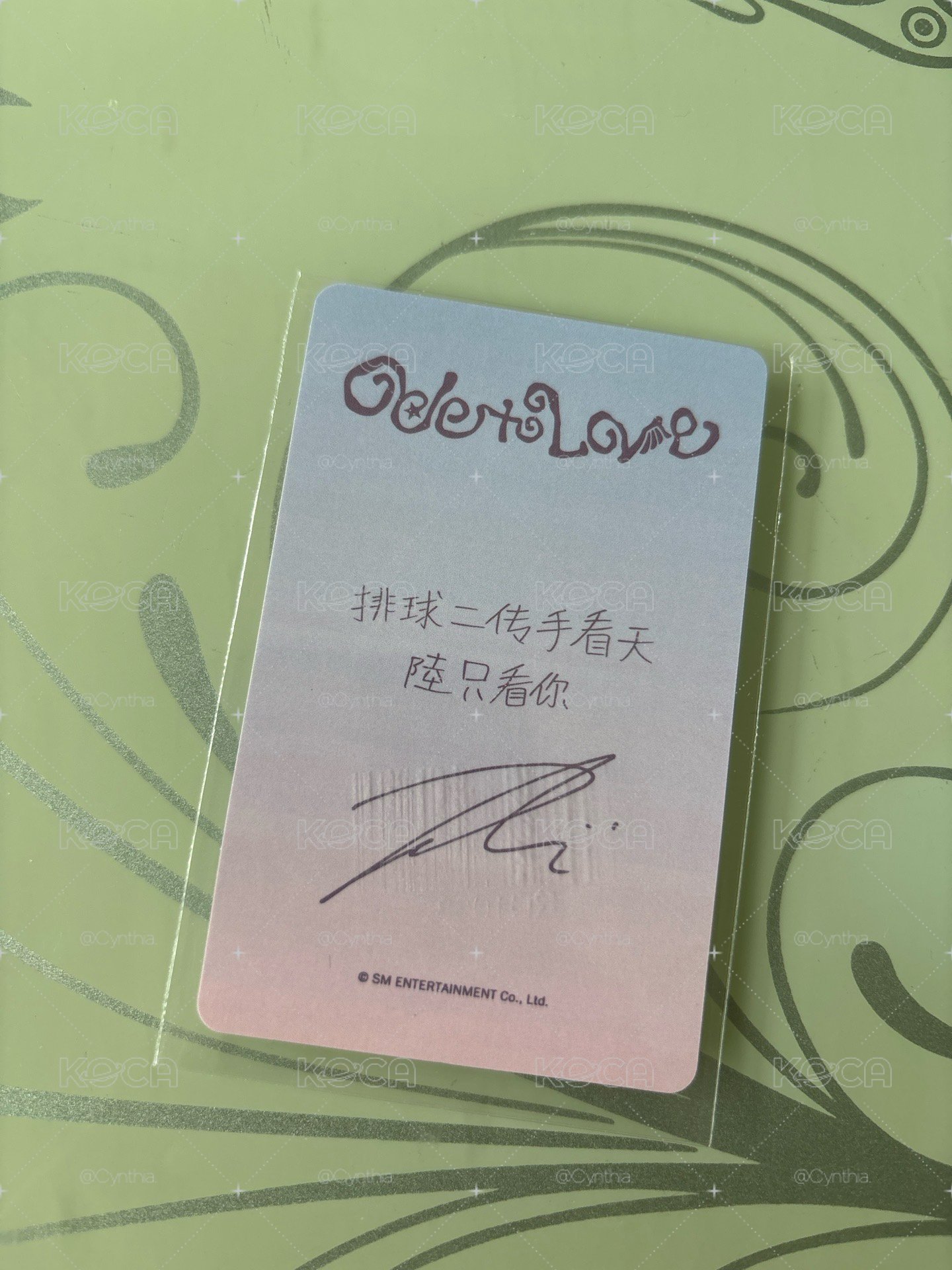 中文卡背 陸