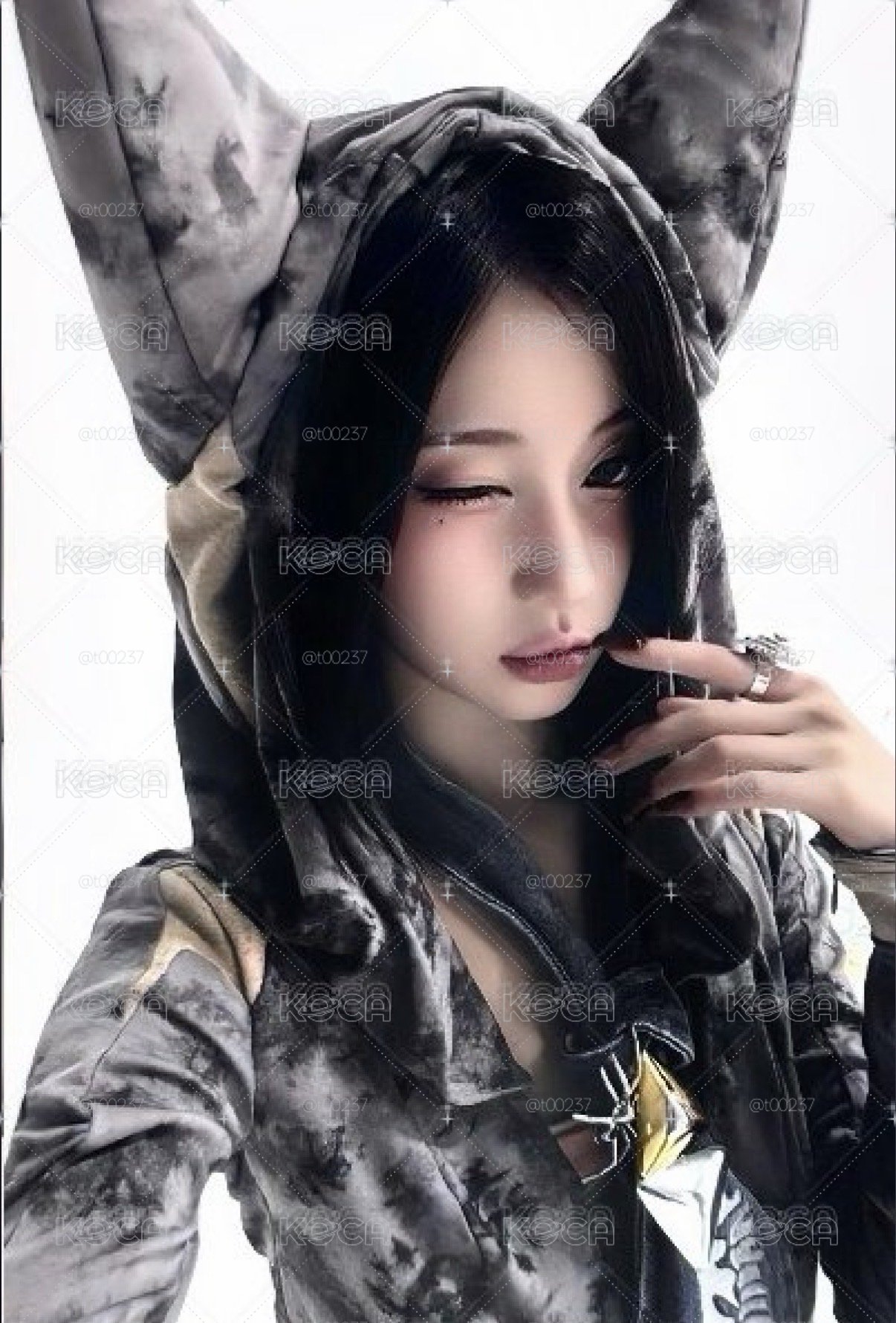 貓咪角