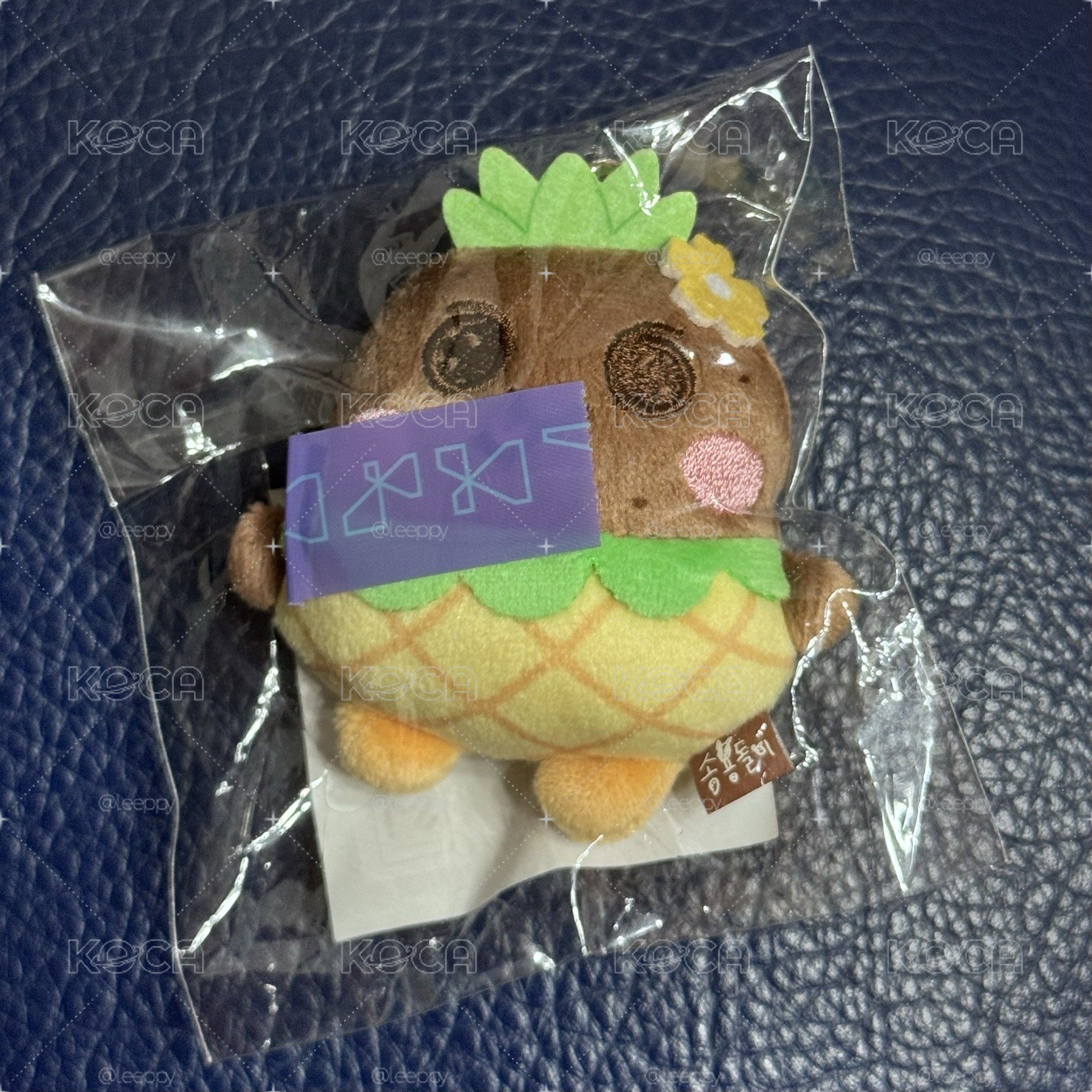 鳳梨娃