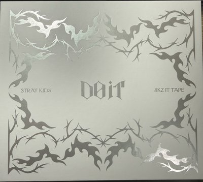 SKZ DO IT 音響專 I.N 