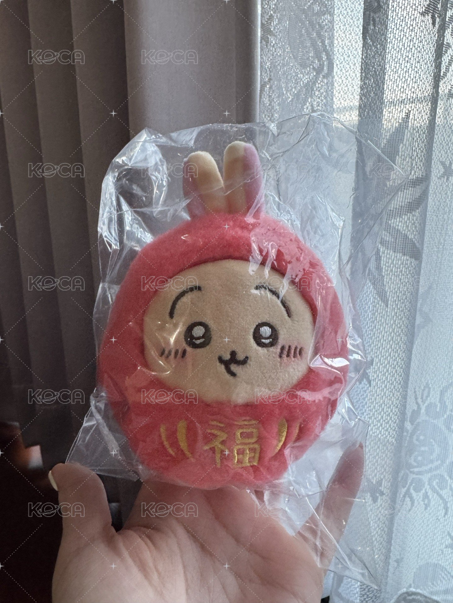 達摩兔