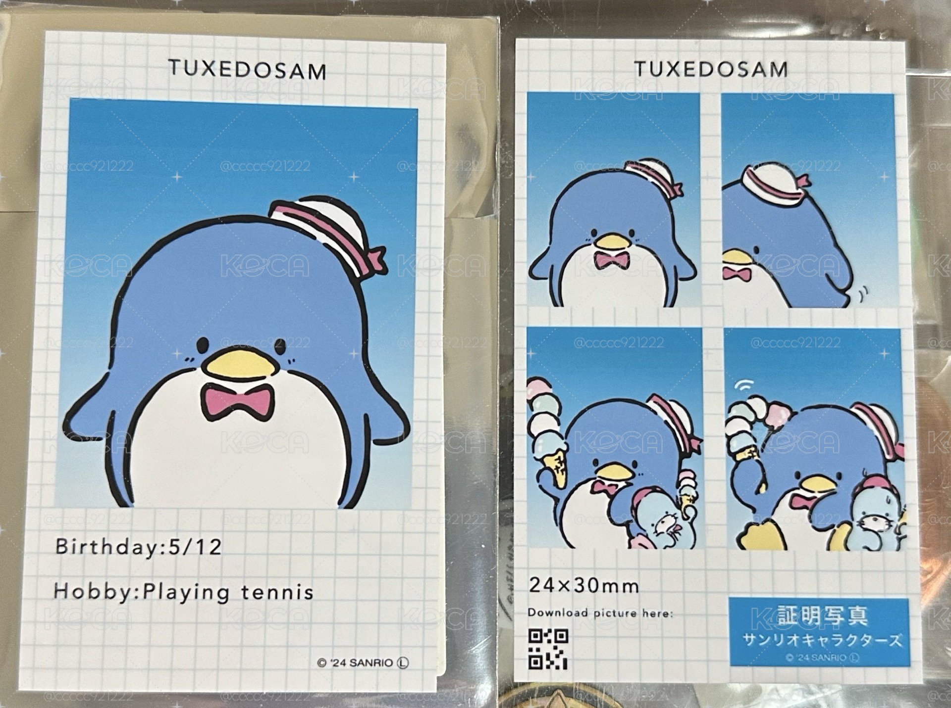 三麗鷗 證件照 