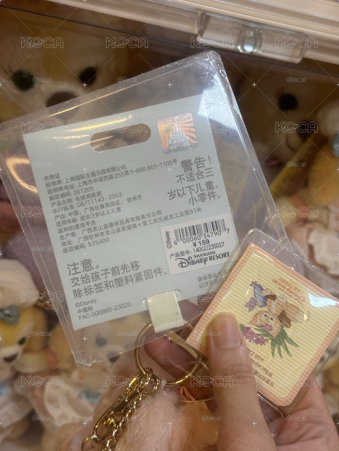 23春日貝掛