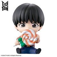 TinyTAN BANDAI 公仔 j-hope